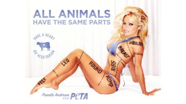 Pamela Anderson