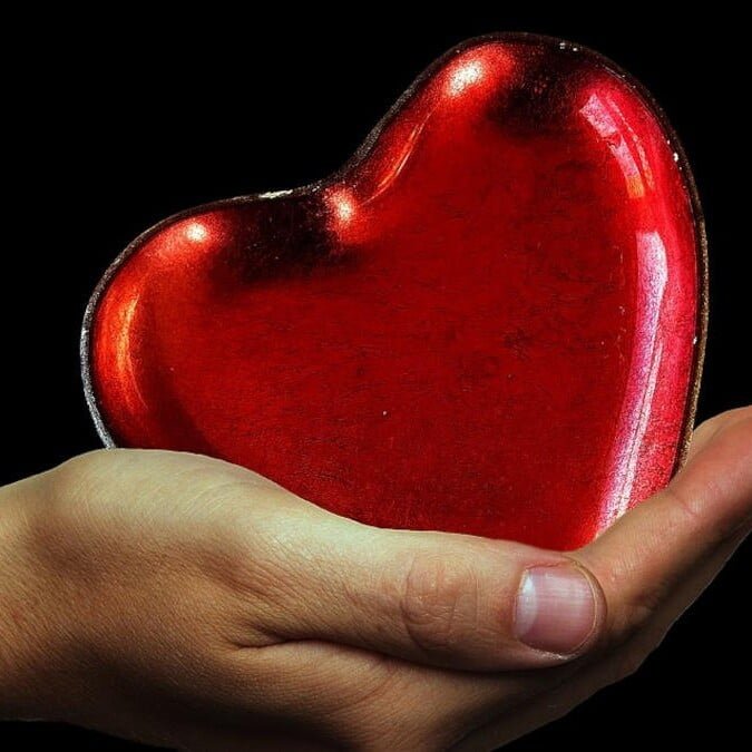 A hand holding a heart