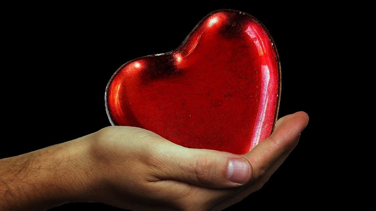 A hand holding a heart